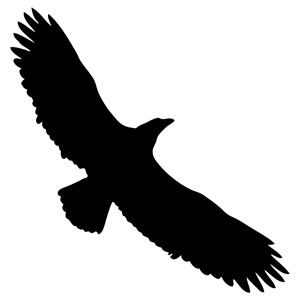 Eagle Silhouette Png Images   Pictures   Becuo
