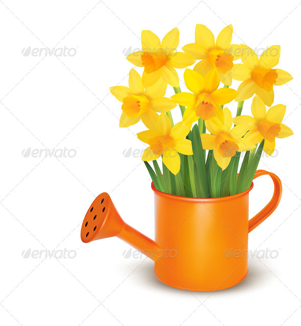 Spring Flowers With Watering Can   Flowers   Plants Nature