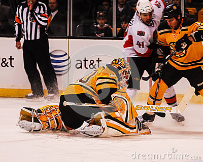 Tim Thomas Boston Bruins  Editorial Photo   Image  44041291