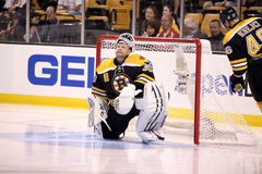 Tim Thomas Boston Bruins Goalie Royalty Free Stock Image