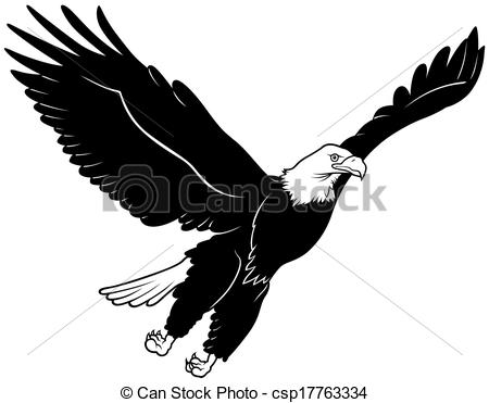 Vectors Of Flying Bald Eagle   Black Outline Illustration Vector