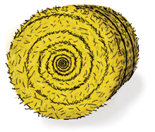 Round Hay Bales Clipart   Cliparthut   Free Clipart
