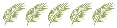 View Topic   Palm Leaf Border   Other Christian Clip Art Borders