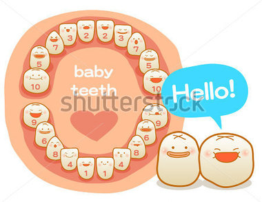 Baby Teeth First Teeth Milk Teeth Milk Tooth Primary Teeth    