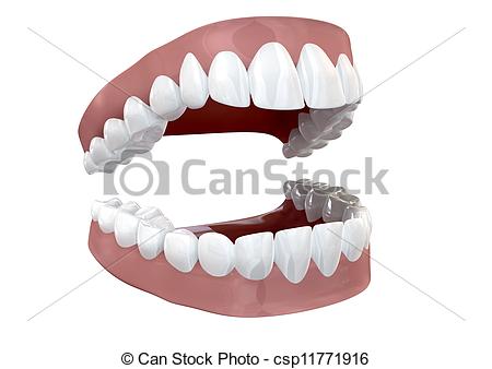 Bite Teeth Clipart Clipart Of Teeth Set Open Isolated   Seperated    