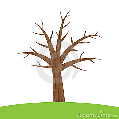 Brown Tree Stock Images   Image  12434934
