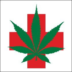 Related Pictures Clipart Medical Marijuana Cannabis Leaf Royalty Free