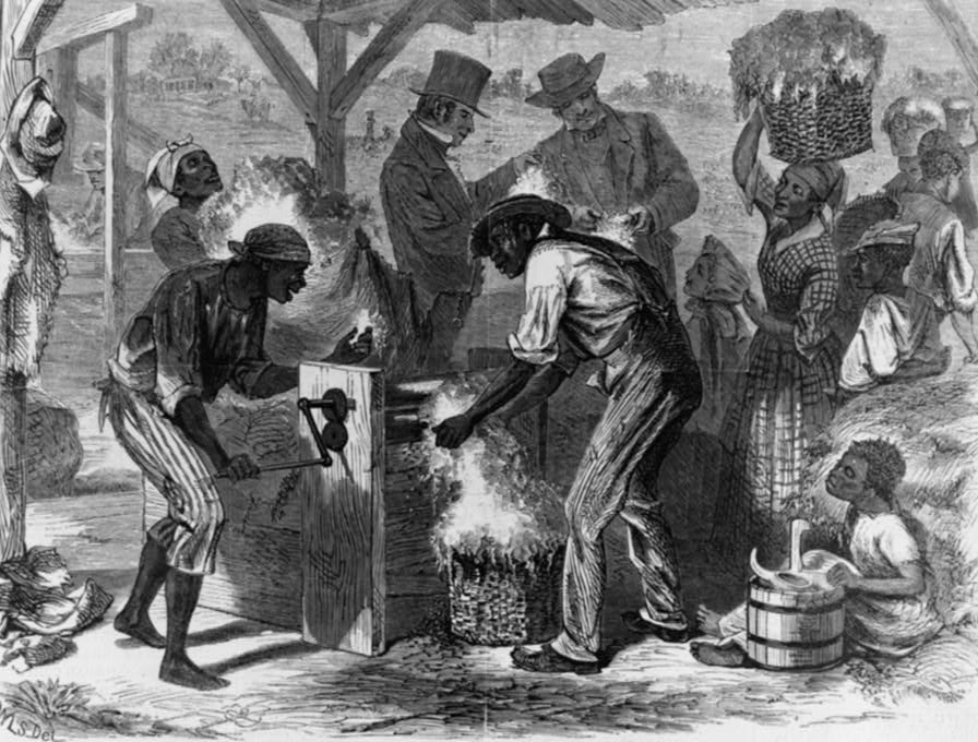 The Role Cotton Played In The 1800s Economy   African American History    