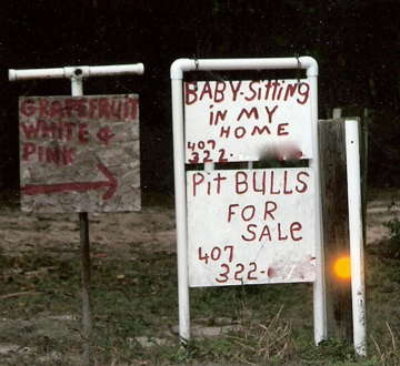 While You Re At It Why Not Breed Some Pit Bull Dogs And Sell The