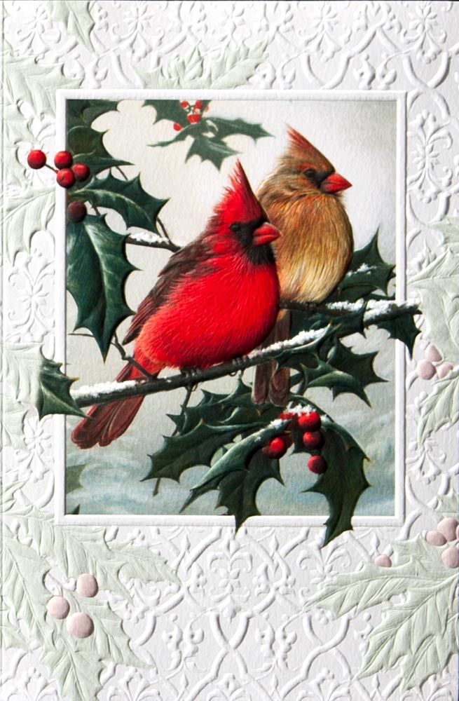 Bird Clip Art Christmas Cardinal Clip Art Christmas Cardinal Clip Art