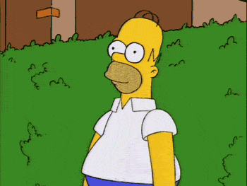 Collections About Homer Simpson Gif On The Best Homer Other