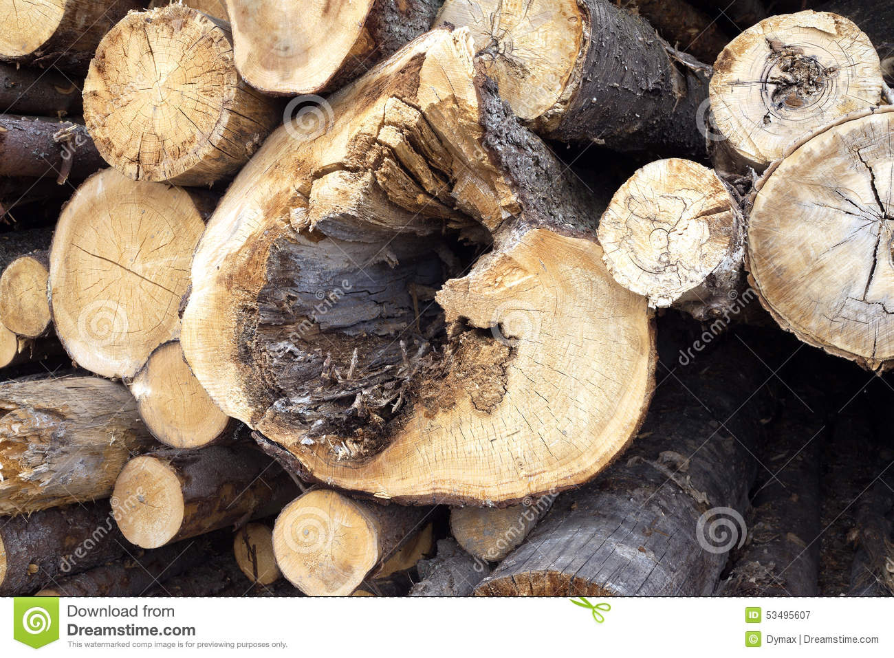 Construction Materials  Sawed Pine Logs Stacked In A Pile Closeup