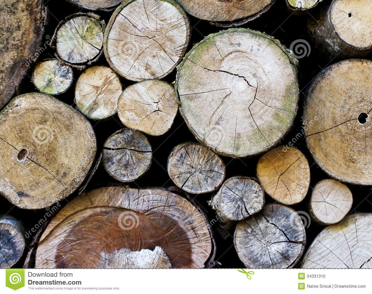 Pile Of Cut Wood Stump Stock Photo   Image  34331310