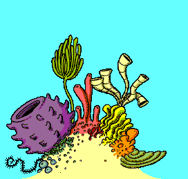 Suppnetfeas  Animated Corals