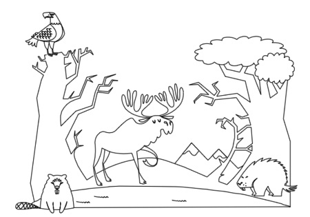 Forest Animals Coloring Book Pg 6   This Is Some Free Stuff