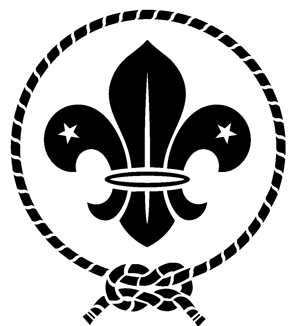 South African Scout Branding