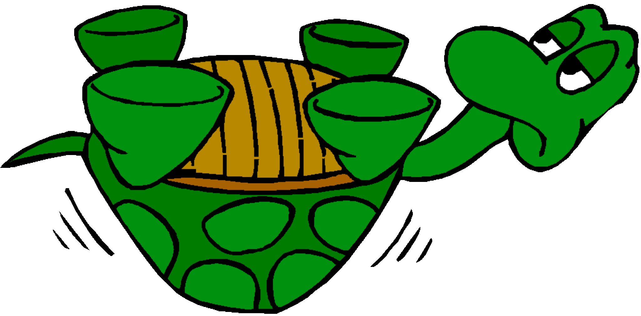 The Turtle Signifying Capsizing Is Of Course Upside Down