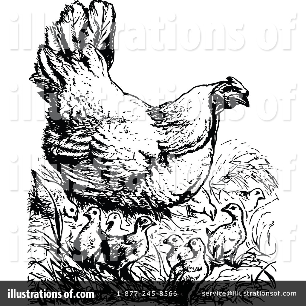 Chicken Clipart Illustration By Prawny Vintage   Stock Sample  1149340