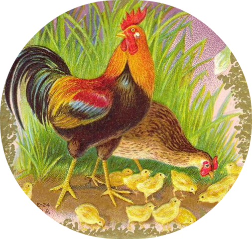 Poultry Food   Coolclips Clip Art