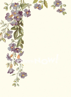 Purple Flower Border Royalty Free Stock Image   609031   Picturesnow