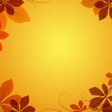 Autumn Leaves Corner Background Stock Vectors Illustrations   Clipart