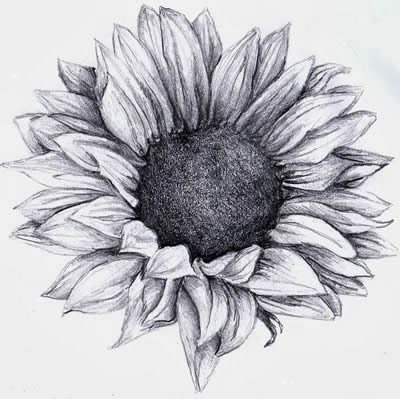 Brushstrokes Etc   Sunflower Tattoo