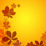 Corner Element Autumn Leaves Stock Vectors Illustrations   Clipart