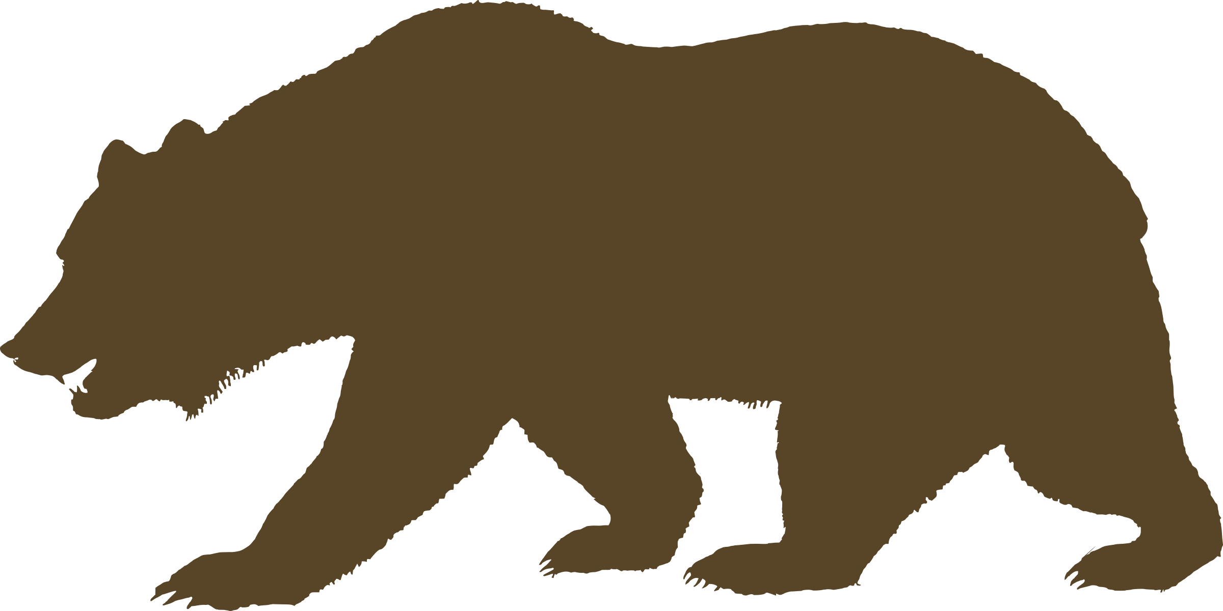 Flag Of California   Bear  Solid