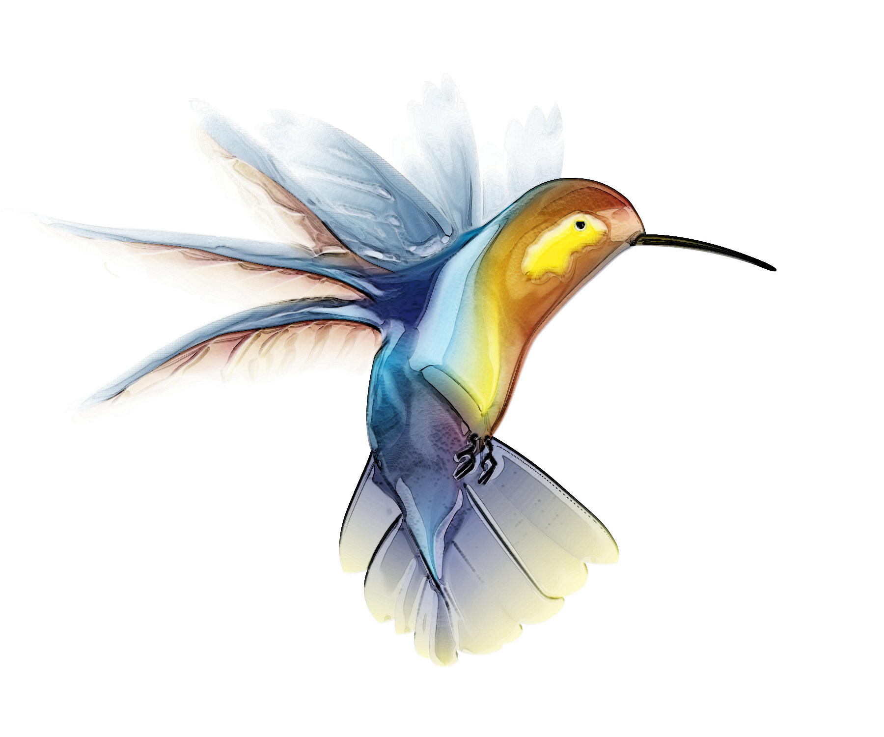 Hummingbird   Free Images At Clker Com   Vector Clip Art Online    