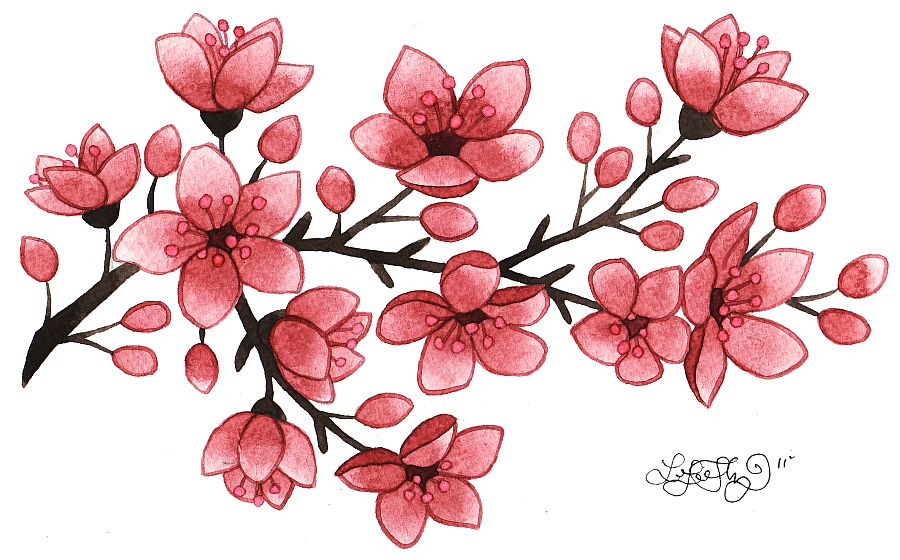 Lori Lee Thomas   Fine Art   Illustration Blog  Cherry Blossoms
