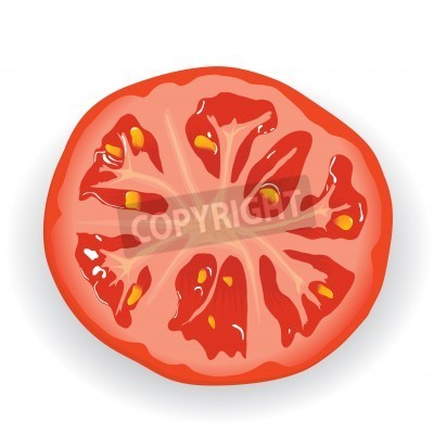Piece Of Fresh Tomato Vector Cmyk  Vector Illustration   Stockpodium