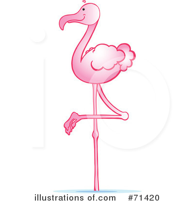 Pin Clipart Pink Flamingo Bird With Flowers Royalty Free Vector On    