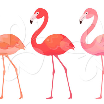 Printable Pink Flamingo Clipart   Free Clip Art Images