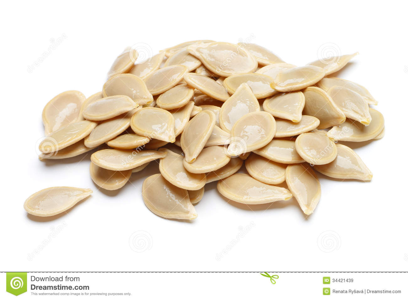 Pumpkin Seed Clipart Black And White Images   Pictures   Becuo