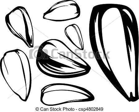 Seed Csp4802849   Search Clip Art Illustration Drawings And Clipart
