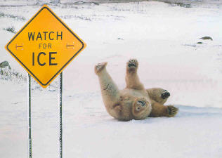 Slip And Fall On Ice
