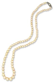 Strand Of Pearls Clipart A Single Strand Natural Pearl