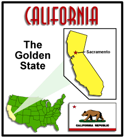 The California State Flag