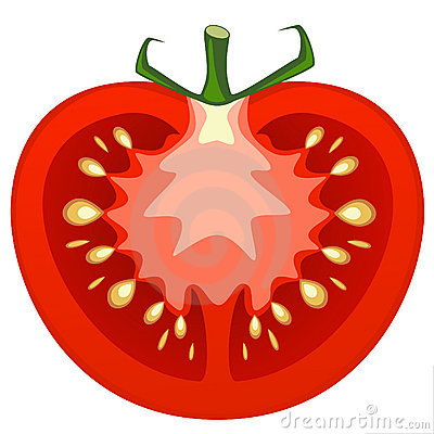 Tomato Royalty Free Stock Image   Image  7274596
