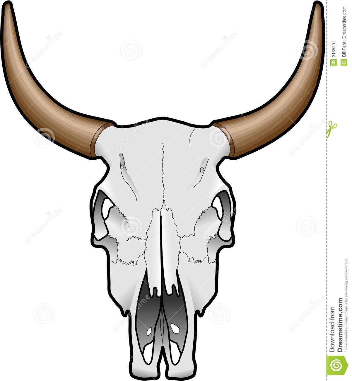 Animal Skull Stock Image   Image  3165301