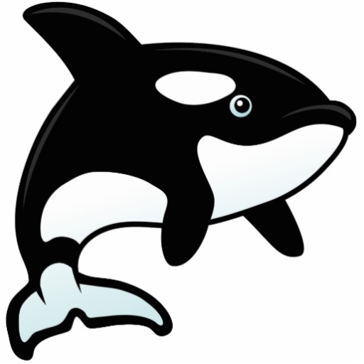 Cartoon Killer Whale   Clipart Best