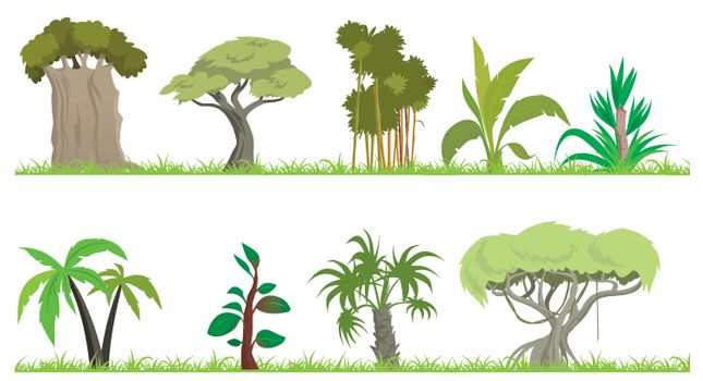 Download Free Jungle Trees Vector High Quality Vector Jungle Trees
