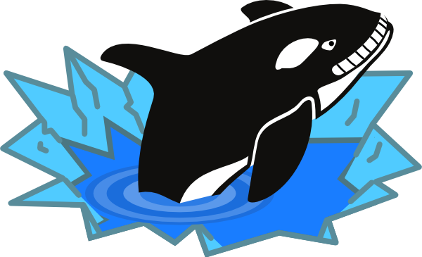 Killer Whale Clip Art At Clker Com   Vector Clip Art Online Royalty