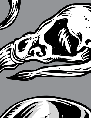 Skull Clipart Vector Art