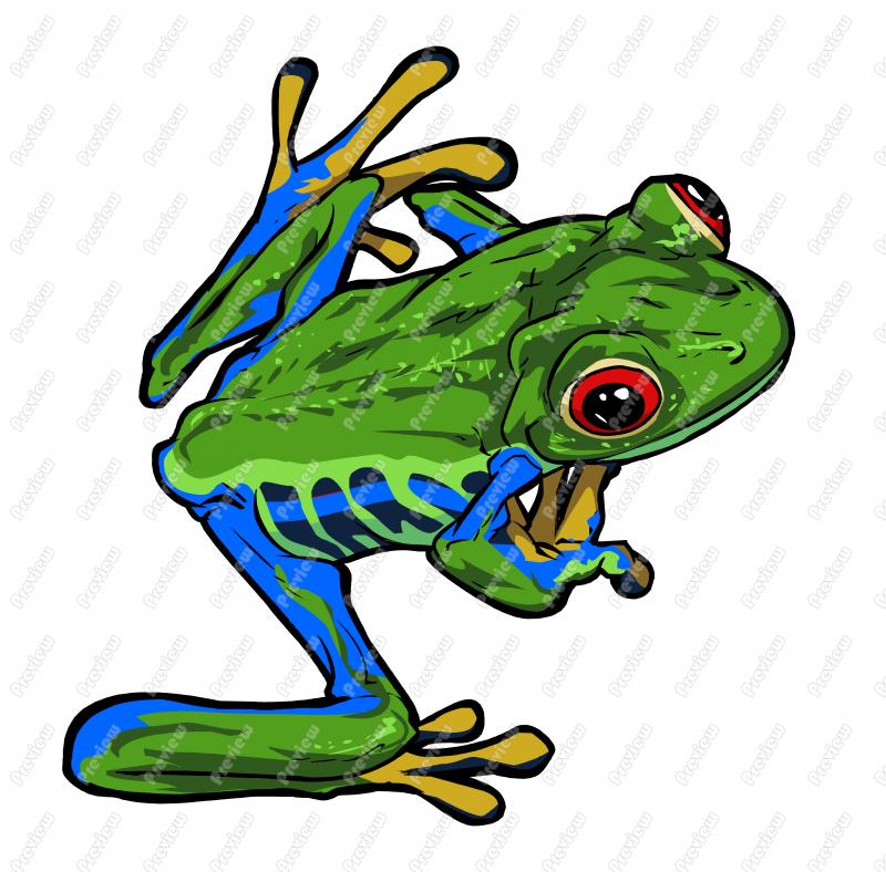 Tree Frog Character Clip Art   Royalty Free Clipart   Vector Cartoon