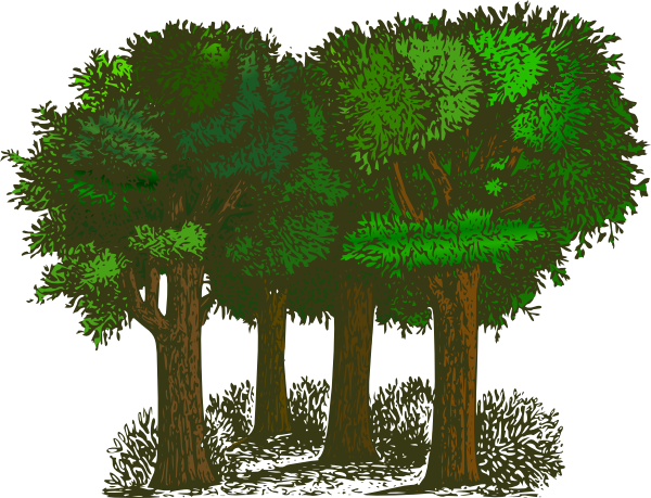 Trees Clip Art At Clker Com   Vector Clip Art Online Royalty Free