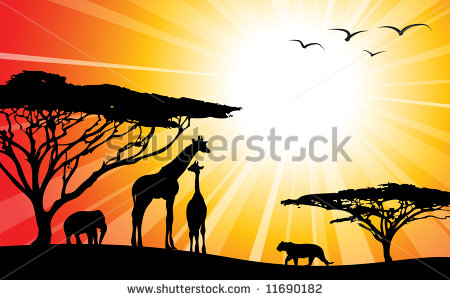 Africa   Safari   Silhouettes Of Wild Animals In Twilight   Stock