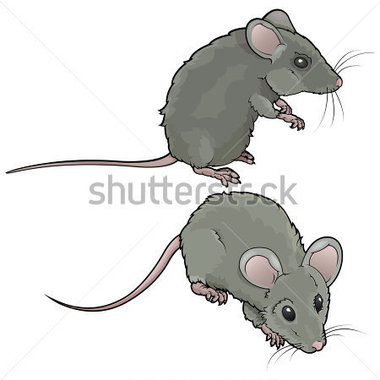 Download Source File Browse   Animals   Wildlife   Vector Drawing Mice