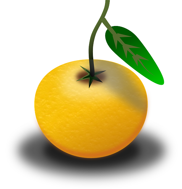 Fruit Juice Orange Lemon Clipart