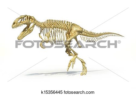 Gigantosaurus Dinosaurus Full Photo Realistic Skeleton Scientifically